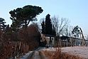 S. Damiano d'Asti - Ultima neve e brina_026